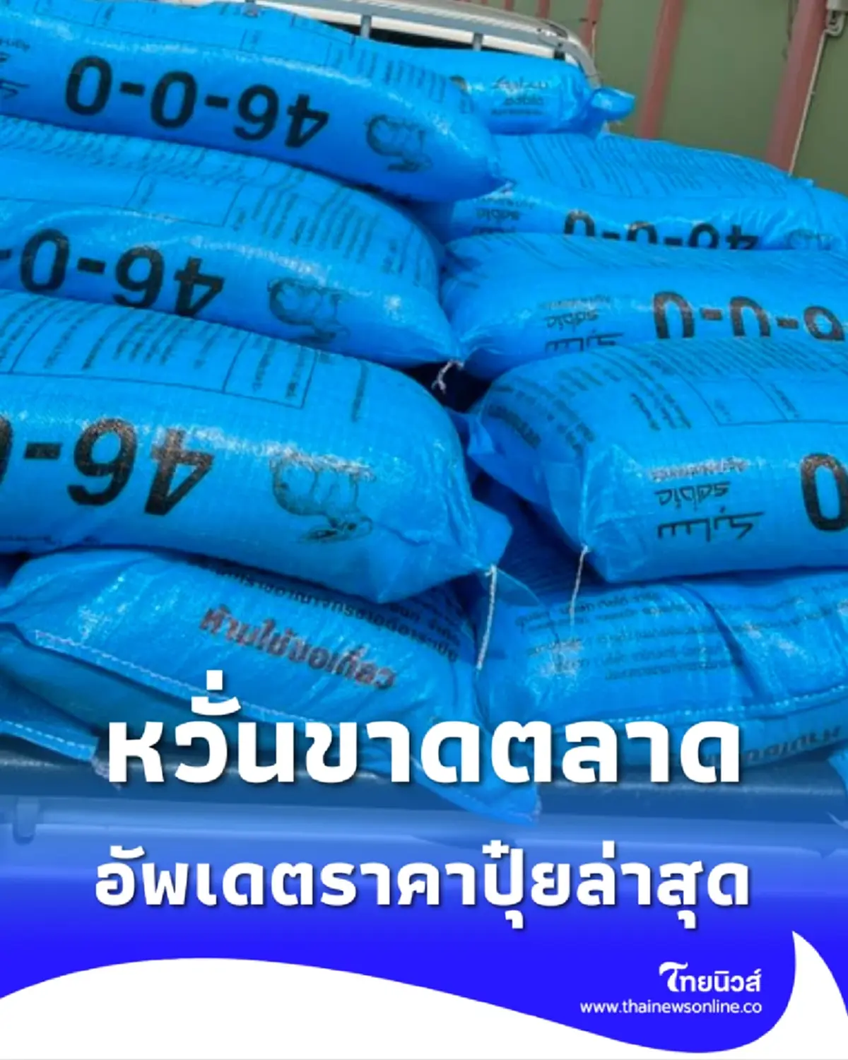 อัพเดตราคาปุ๋ยล่าสุด น้ำมันแพงลากปุ๋ยผันผวน หวั่นของขาดตลาด