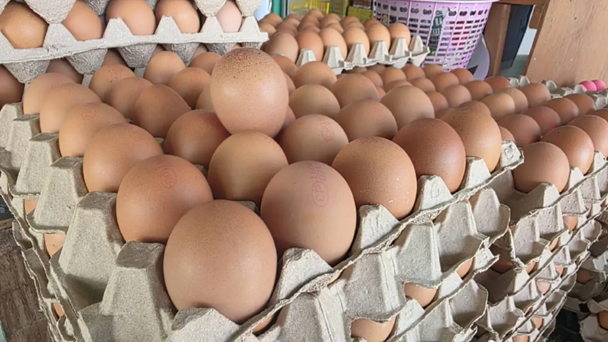 ไข่ไก่ปรับขึ้นแผงละ 6 บาททั่วไทย ชี้อากาศร้อนทำผลผลิตวูบ