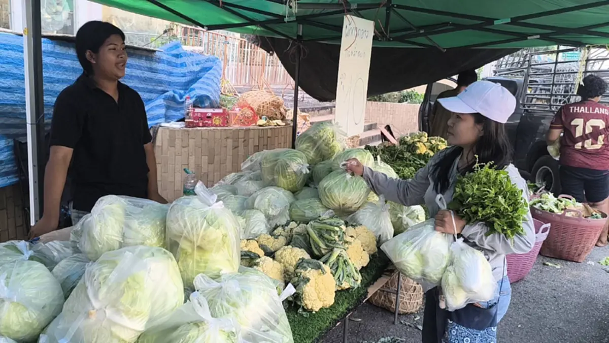 ถูกจริง! ผักถุงละ 10 บาท ชาวพิษณุโลกแห่ซื้อสวนกระแสน้ำมันแพง