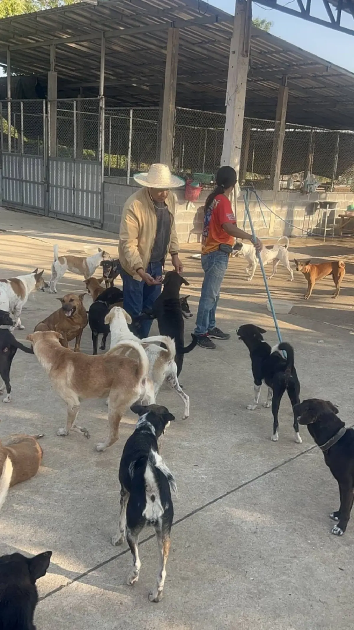 20 ปีทำด้วยใจ นายกปากแควทุ่มเงินส่วนตัวเปิดศูนย์ดูแลหมาจร