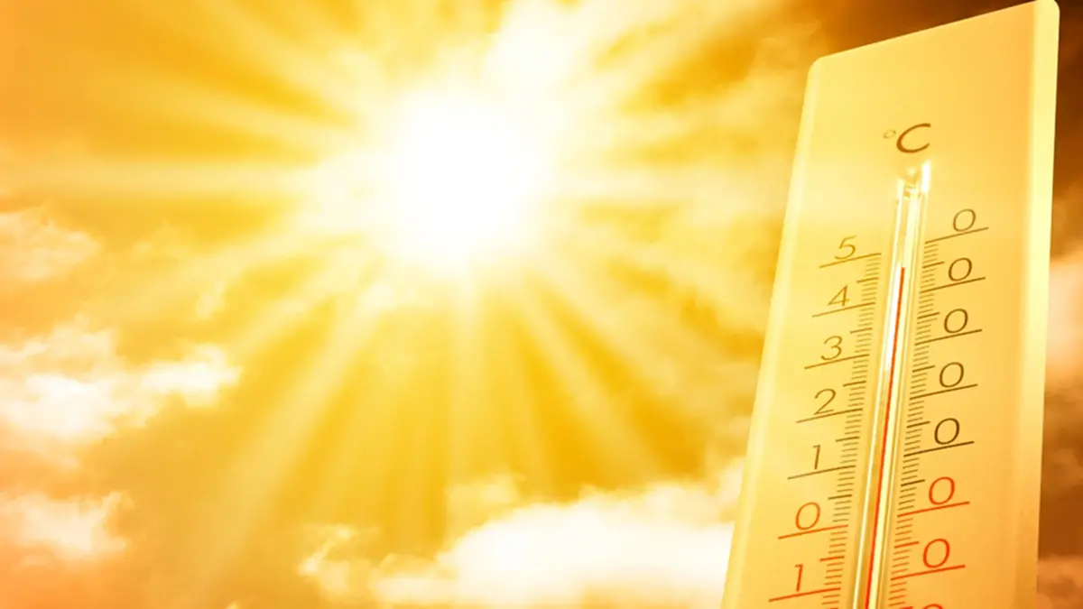  14 วิธีทำให้บ้านหายร้อน ลดค่าไฟ อยู่สบายแม้อากาศพุ่งทะลุปรอท