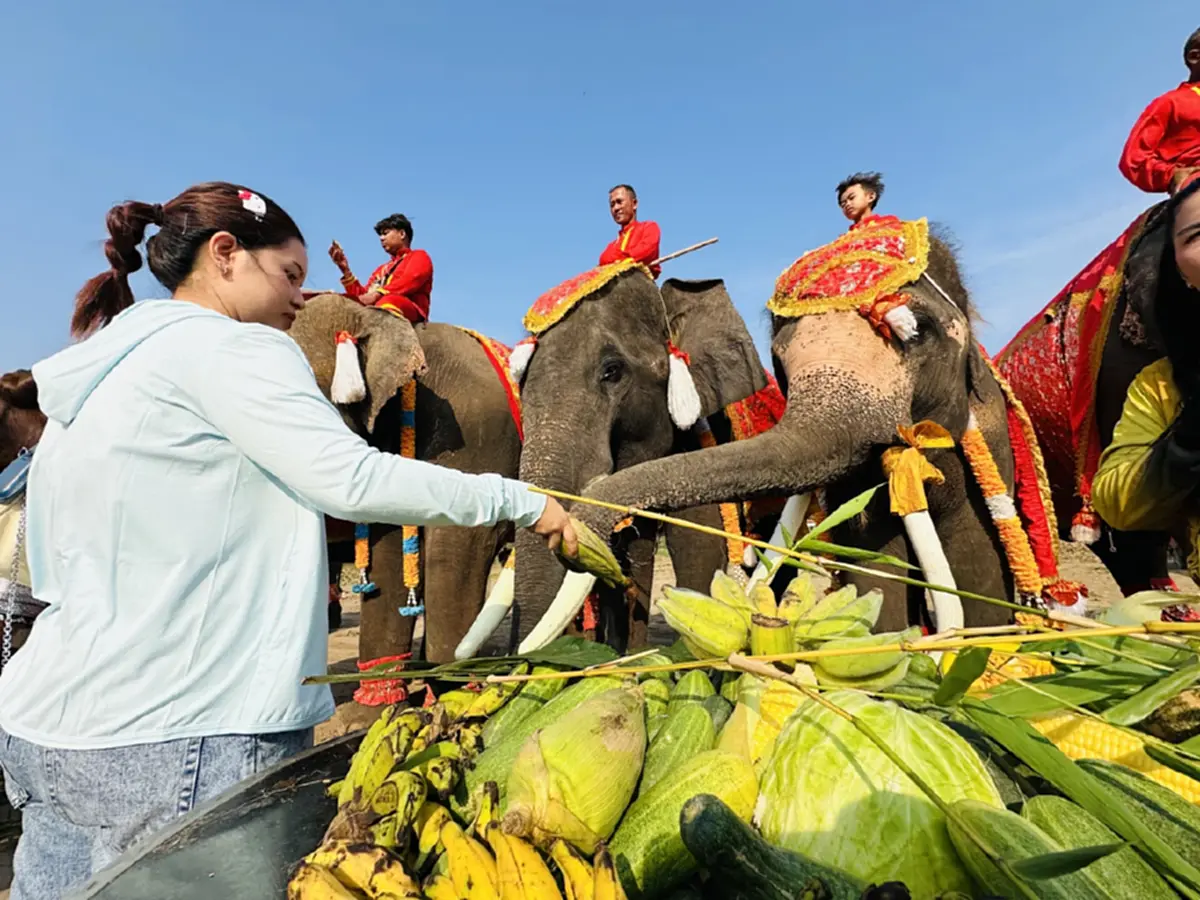 เชิดชูเกียรติช้างไทย! จัดบวงสรวง-เลี้ยงโต๊ะจีนผลไม้ชุดใหญ่