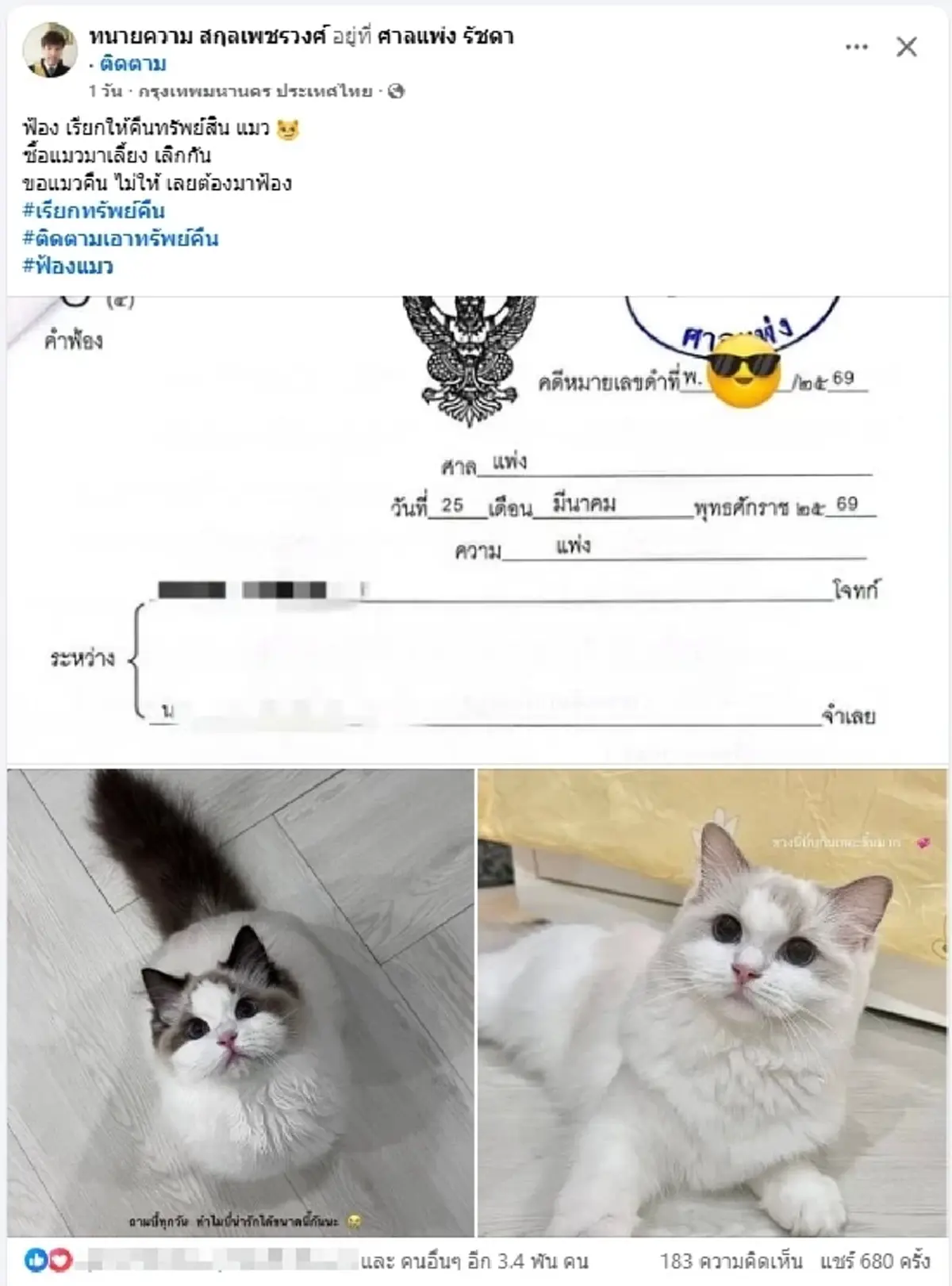 ฮือฮา ฟ้องเรียกแมวคืน มูลค่าเกือบ 6.4 แสน ชาวเน็ตแห่คอมเมนต์สนั่น
