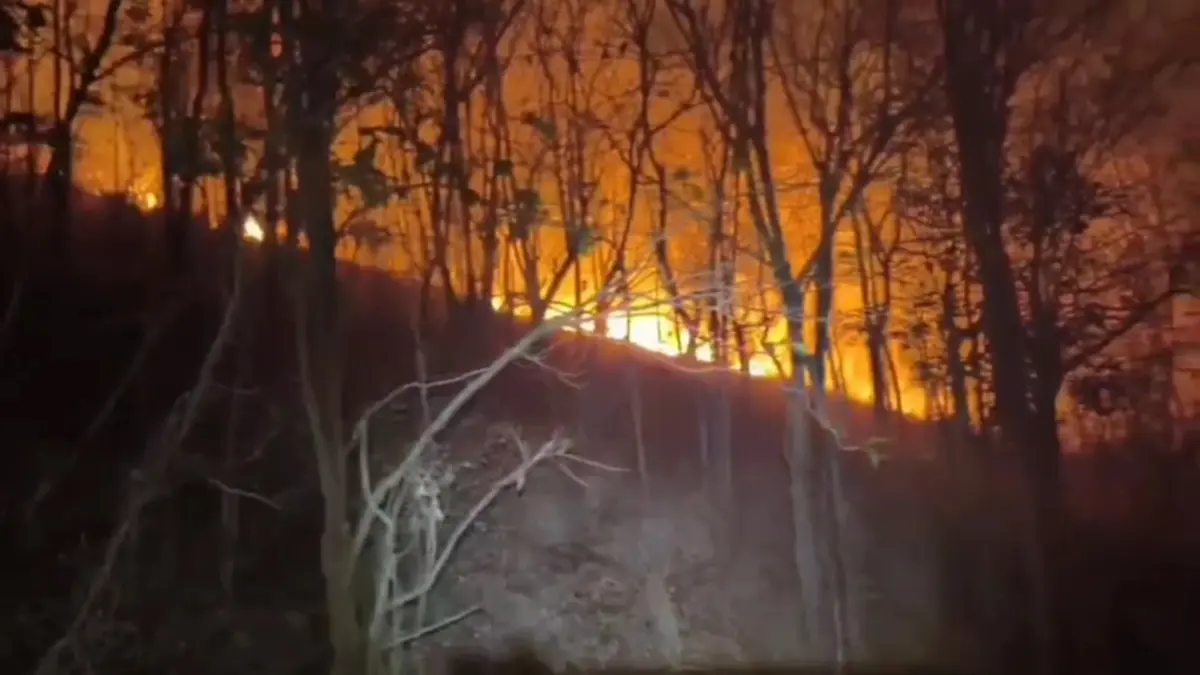 หลวงพ่อหนักใจ! ชาวบ้านเผาป่าหาผักหวาน ทำดอยม่วงคำวอด 60 ไร่