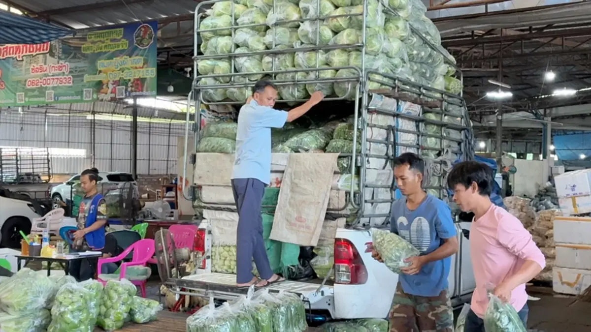 พ่อค้าผักวอนรัฐพยุงราคาดีเซล หวั่นต้นทุนขนส่งพุ่งทำผักแพง