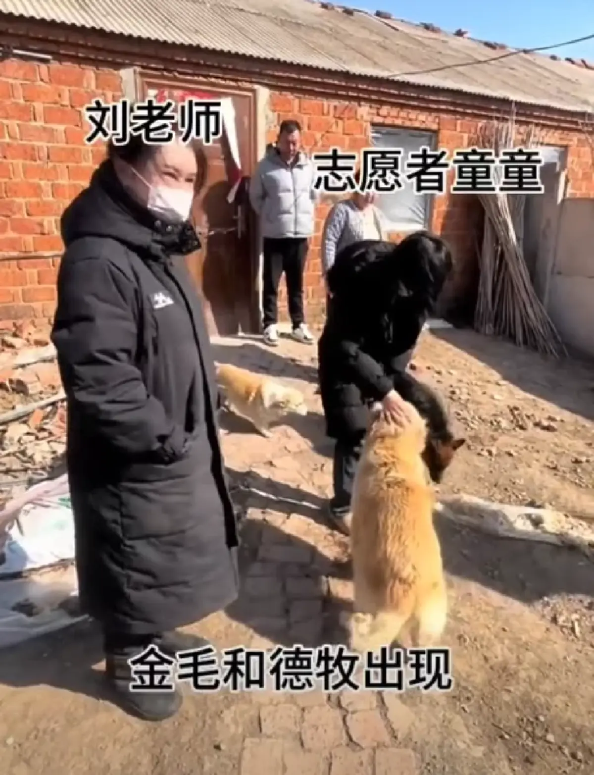 น้ำตาซึม สุนัข 7 ชีวิต หนีแก๊งลักหมา เดินทางไกล 17 กม. กลับบ้าน