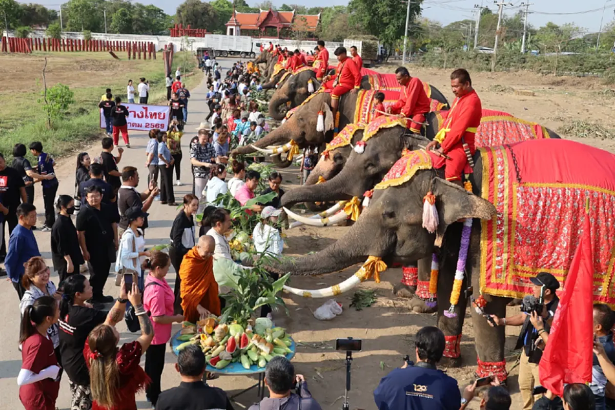 เชิดชูเกียรติช้างไทย! จัดบวงสรวง-เลี้ยงโต๊ะจีนผลไม้ชุดใหญ่