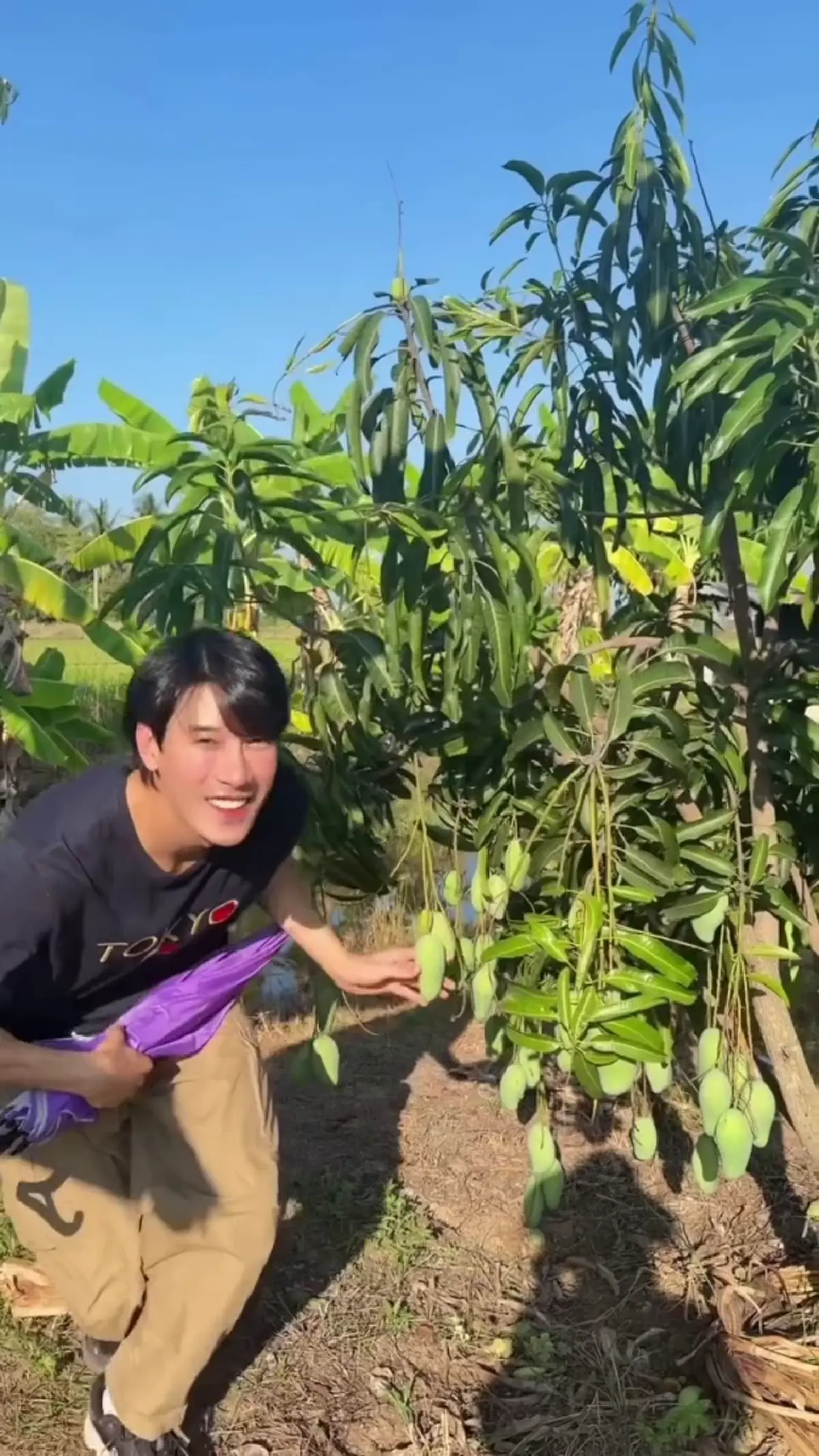  เคน ภูภูมิ เปิดสวนผลไม้ออร์แกนิก ลงมือปลูกเองทุกขั้นตอน