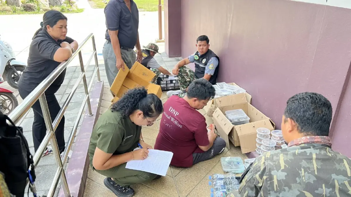 พบสัตว์ป่า 366 ตัวซุกป่าอ้อยสระแก้ว คาดแก๊งลักลอบทิ้งหนีผิด