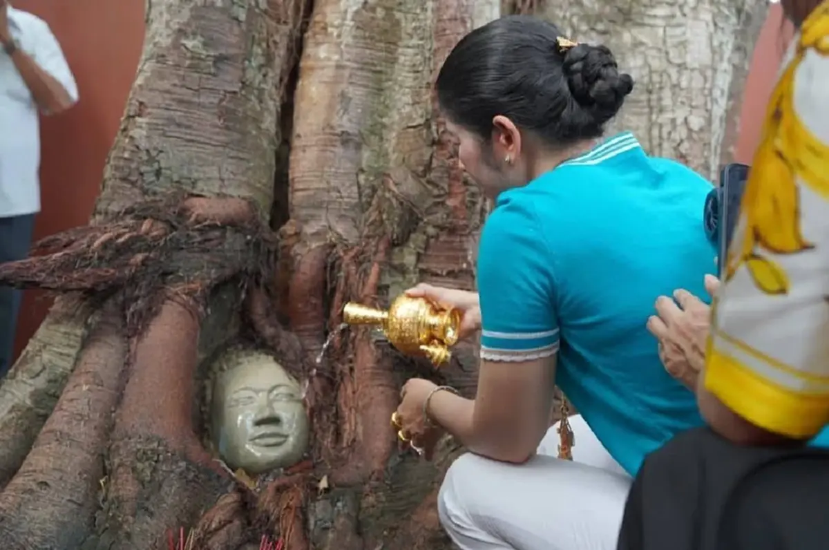 วัดกัมพูชา สร้าง เศียรพระในรากไม้ เลียนแบบ วัดมหาธาตุ อยุธยา