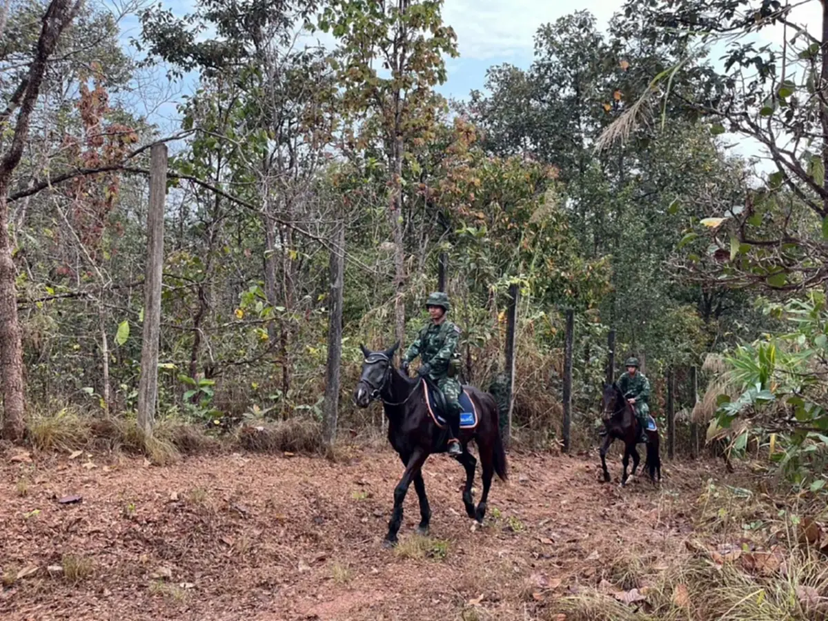ทหารขี่ม้าลาดตระเวนเฝ้าระวังไฟป่า ตรวจแนวกันไฟรอบห้วยตึงเฒ่า