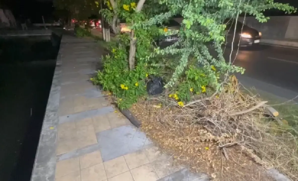 โพสต์สุดท้าย "น้องแรม" ก่อนถูก "ต้อมหนุ่มลาว" ลงมือพรากลมหายใจ