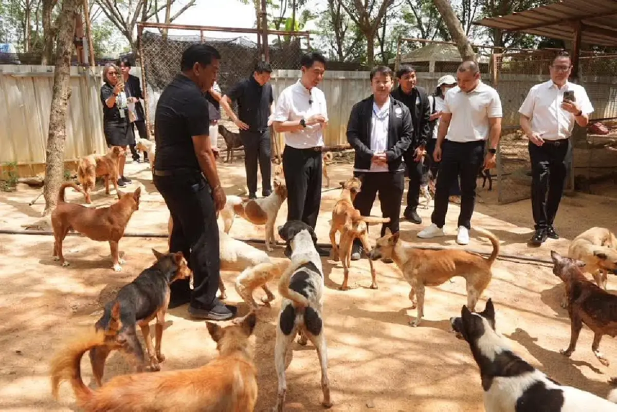 ภาพ @นายสมประสงค์ โภชน์พันธุ์