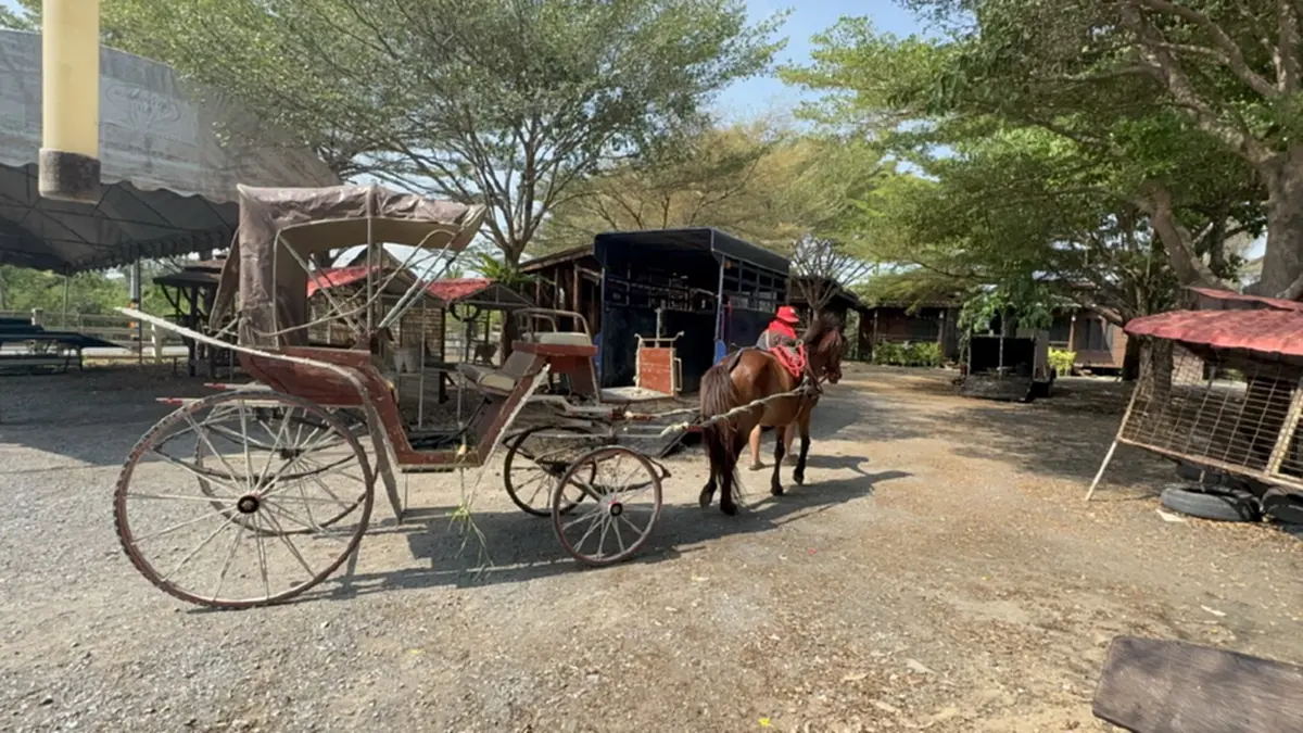 อาจารย์สักยันต์ชื่อดังควบม้าคู่ใจตระเวนหาซื้อน้ำมันปั๊มหลอด