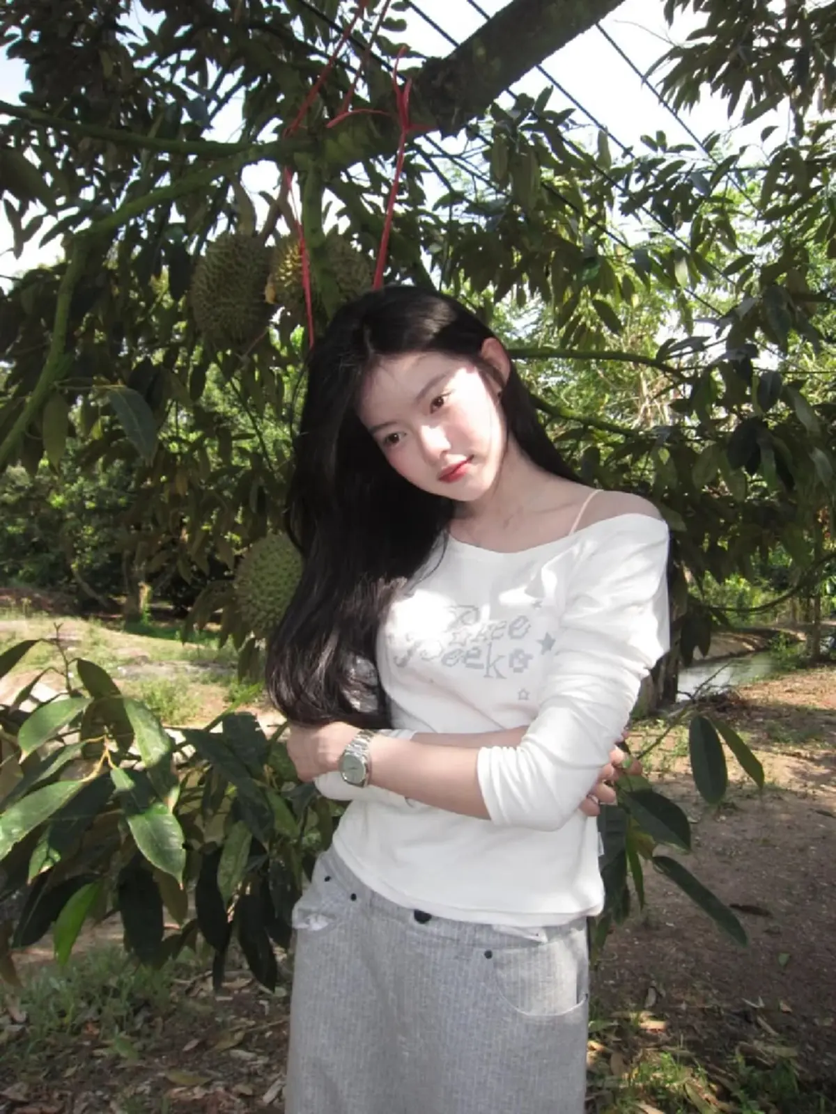 “มาเบล PiXXiE” เช็กอินสวนทุเรียนบ้านเกิด สวยสะกดทุกสายตา