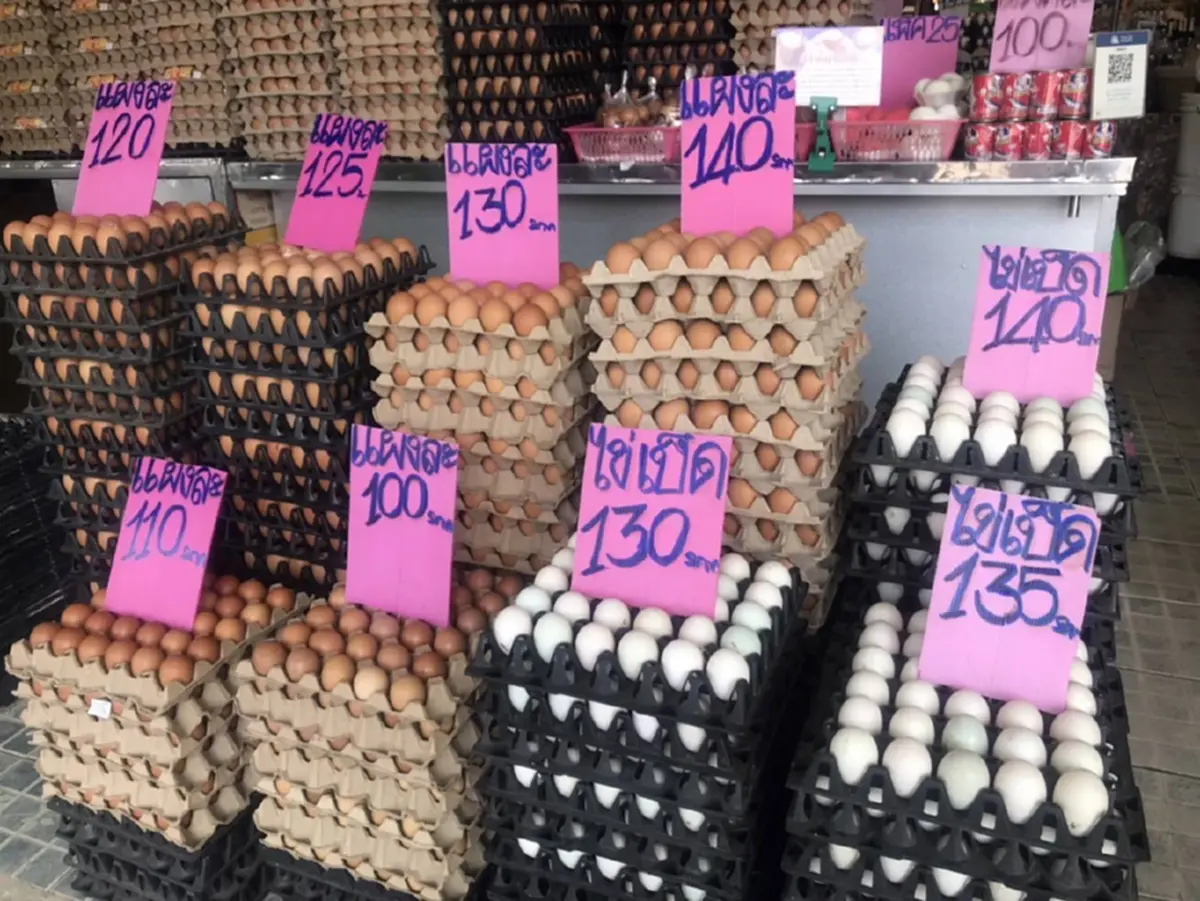 รายได้วูบครึ่งต่อครึ่ง! แม่ค้าสุรินทร์อั้นไม่ไหว วอนรัฐช่วยด่วน