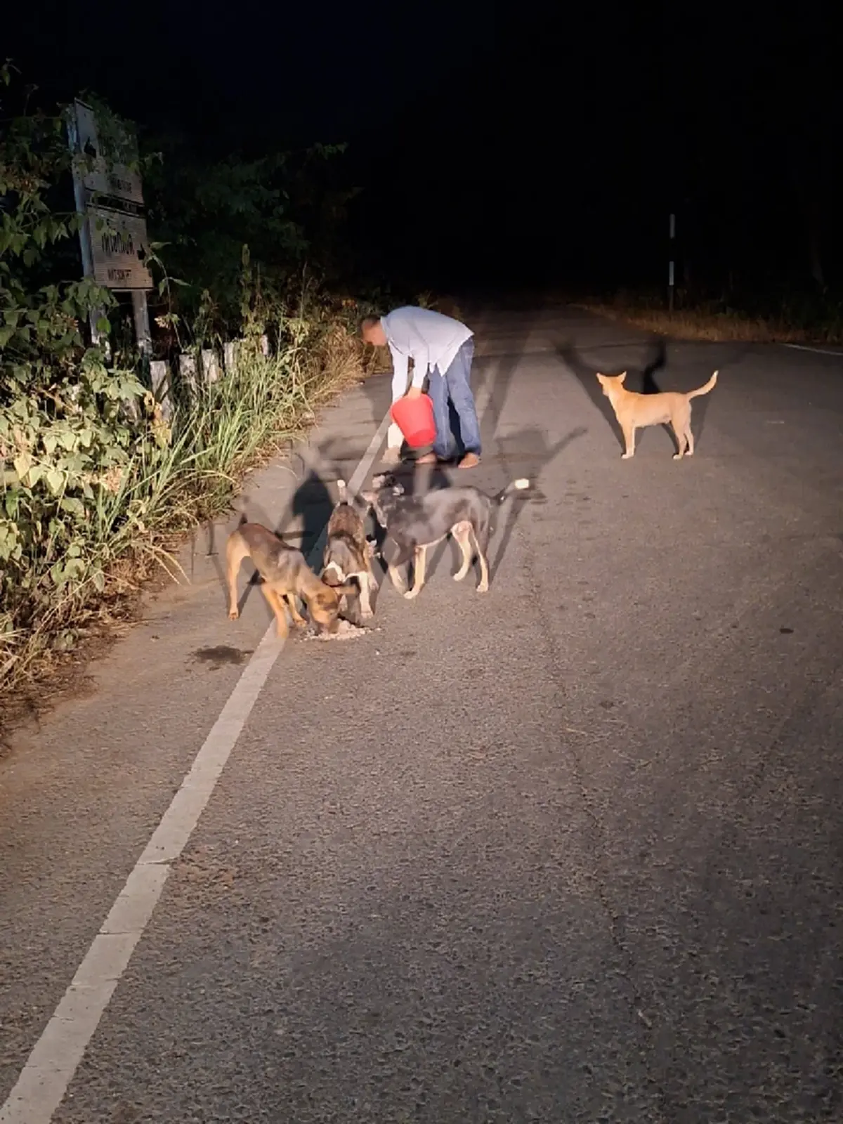 20 ปีทำด้วยใจ นายกปากแควทุ่มเงินส่วนตัวเปิดศูนย์ดูแลหมาจร