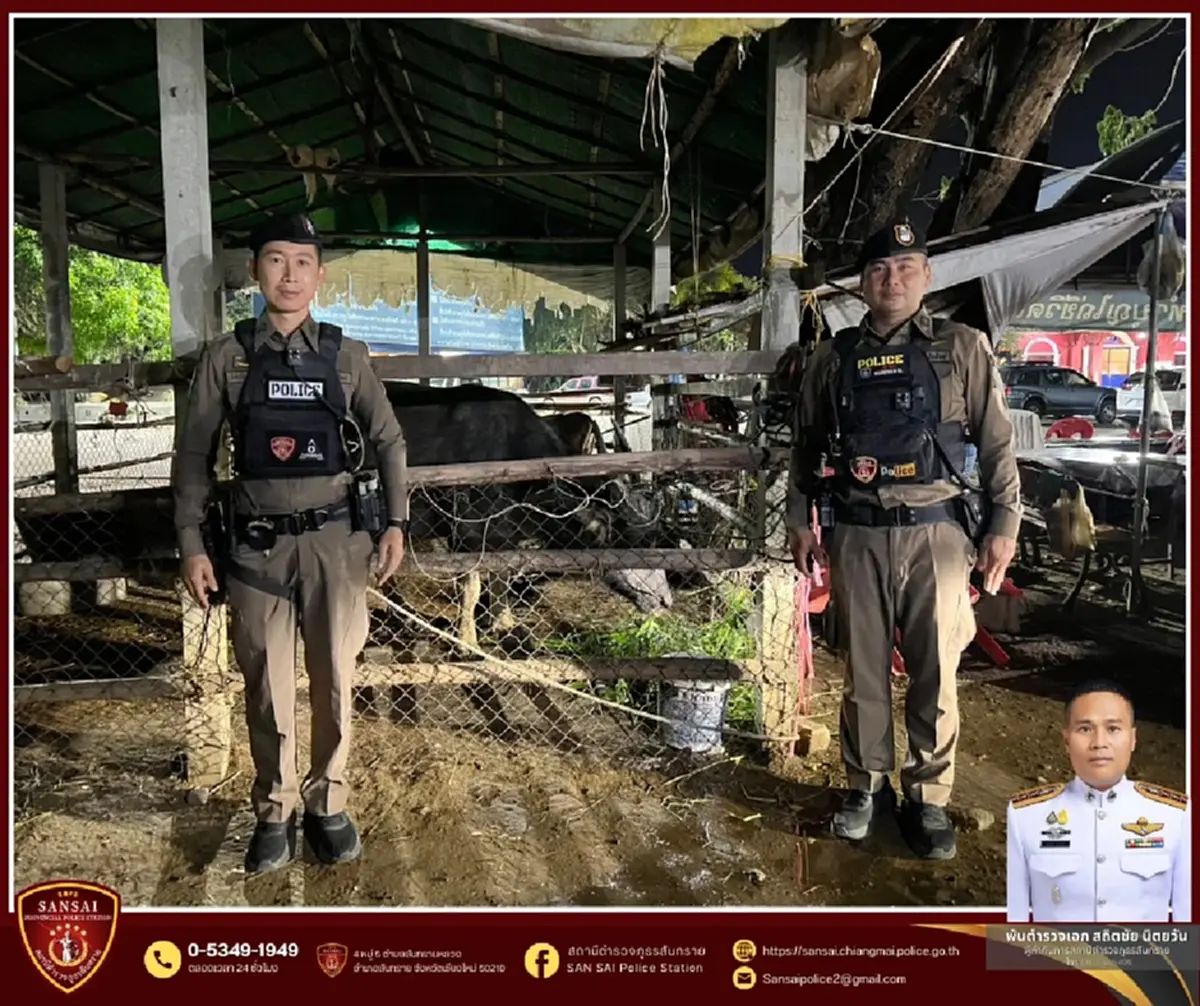 เปิดชีวิตใหม่ เจ้าทุยหัวเหล็ก รอดชีวิตหวุดหวิดจากงานศพ