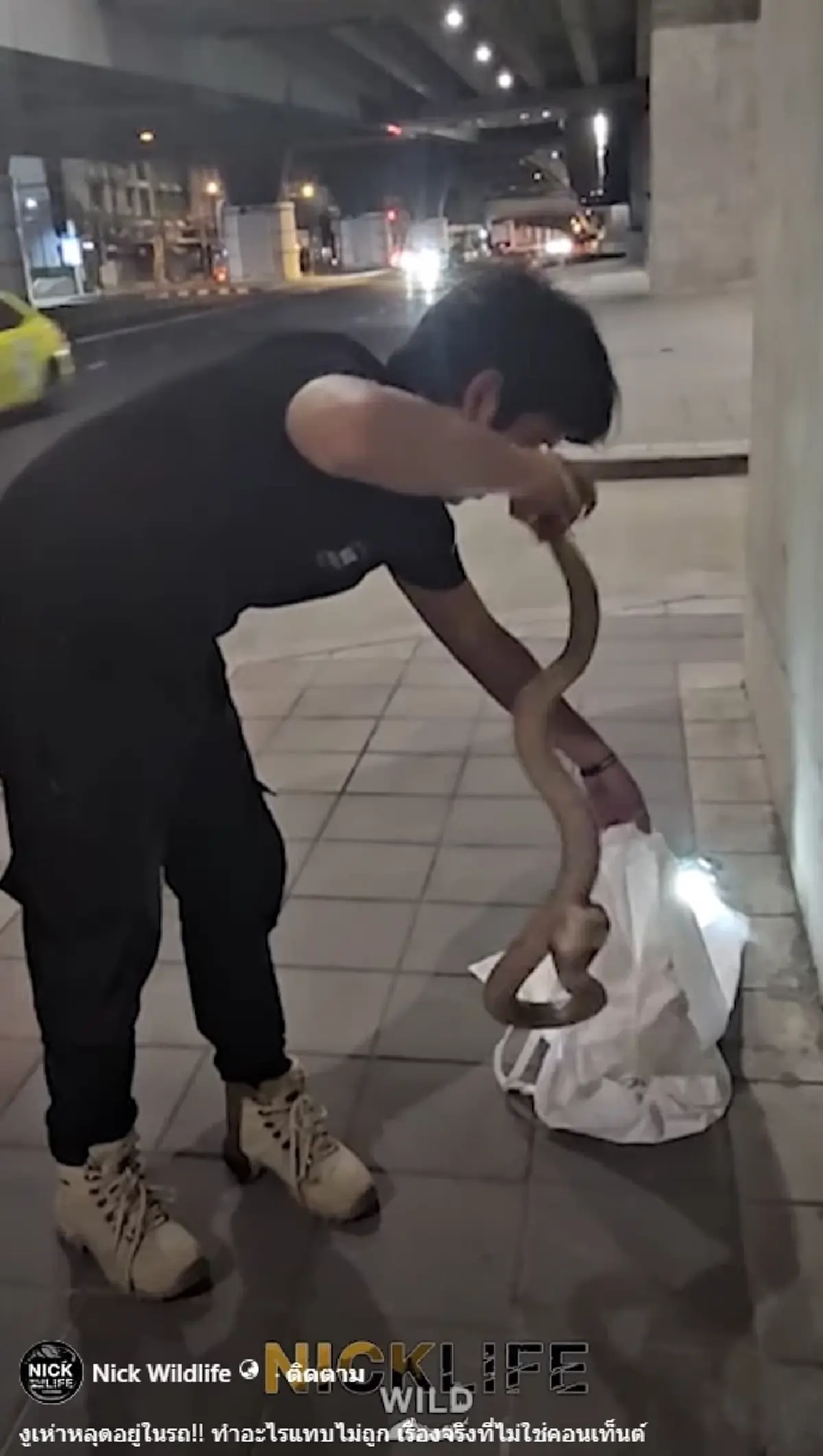 นาทีระทึก นิค อสรพิษ เจองูหลุดเข้ามาในรถ ชาวเน็ตโฟกัสป้ายทะเบียน