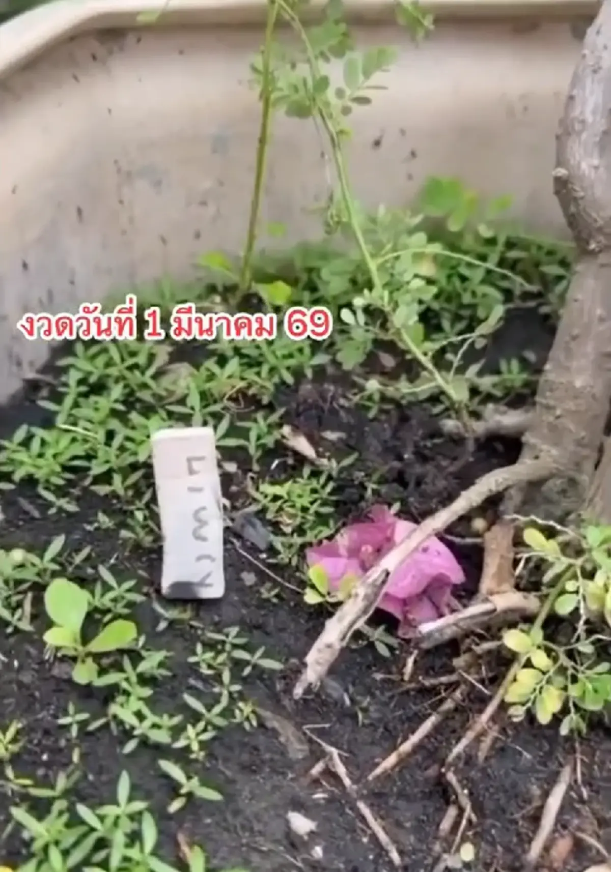 มาแล้ว มนต์สิทธิ์ คำสร้อย สักการะพระธาตุพนม จุดธูปมงคล ได้เลขสวย