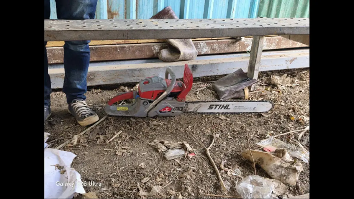 จับมอดไม้เชียงดาว! อ้างชื่อรับเหมาทางหลวงบุกรุกอุทยานฯ