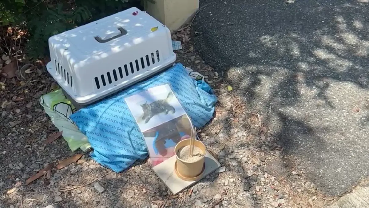 เปิดใจเจ้าของป้าย! ทนมา 6 ปี หมาใหญ่ขย้ำสัตว์เลี้ยงนับ 10