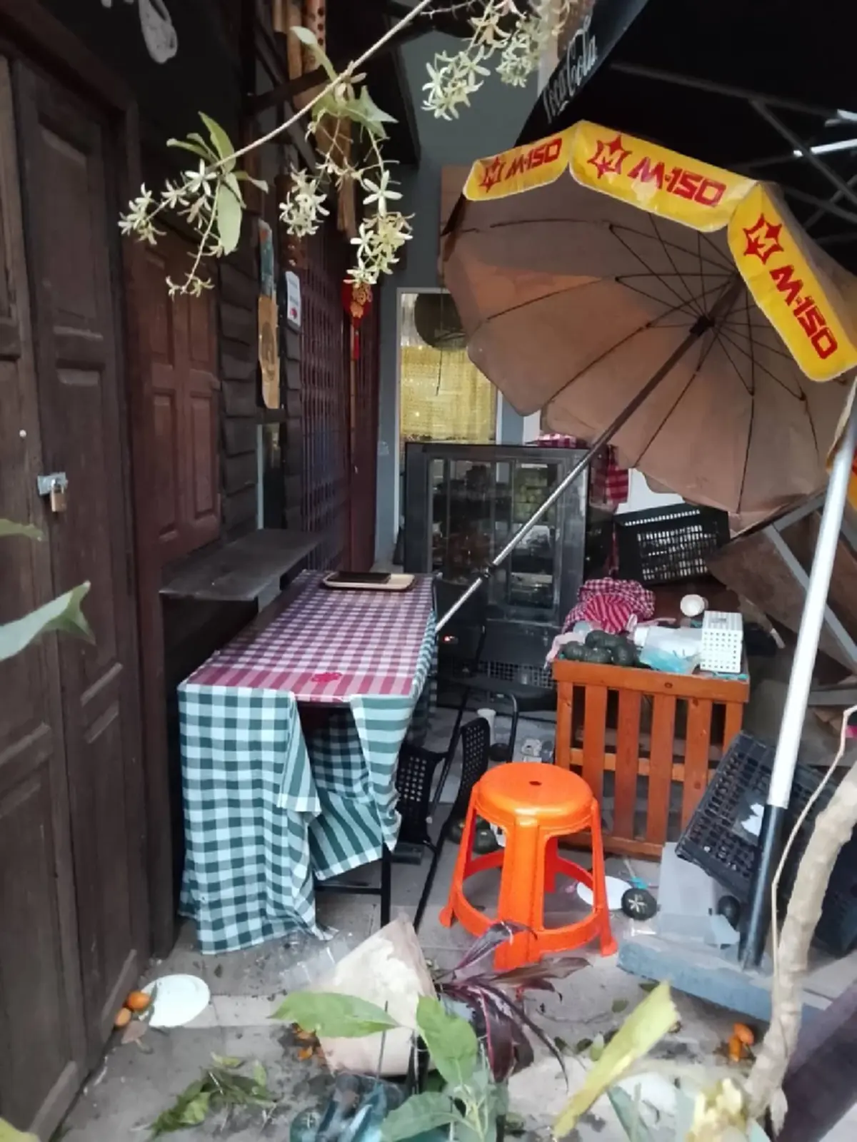 มิชลินก็ไม่เว้น! "เบี่ยงเล็ก" ช้างป่าบุกพังร้านดังเขาใหญ่ กระจุยทั้งร้าน