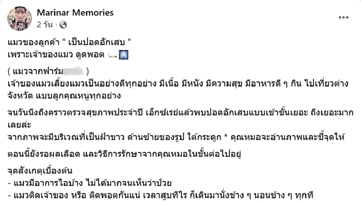 เตือนภัย แมวปอดอักเสบ เพราะเจ้าของดูดพอต แนะจุดสังเกตเบื้องต้น