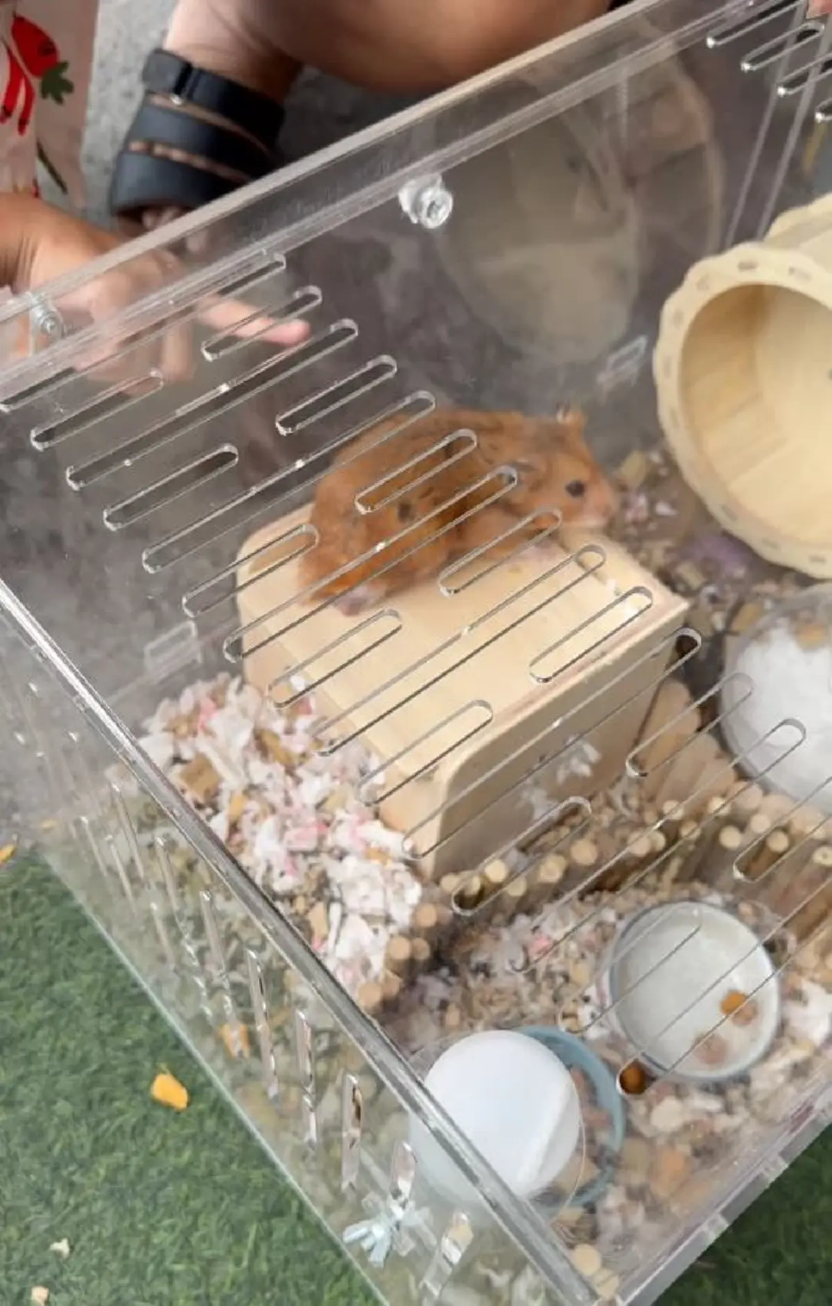 เวทนา 2 ชีวิตน้อยๆถูกโยนทิ้งกองขยะ เห็นแววตายิ่งบีบหัวใจ