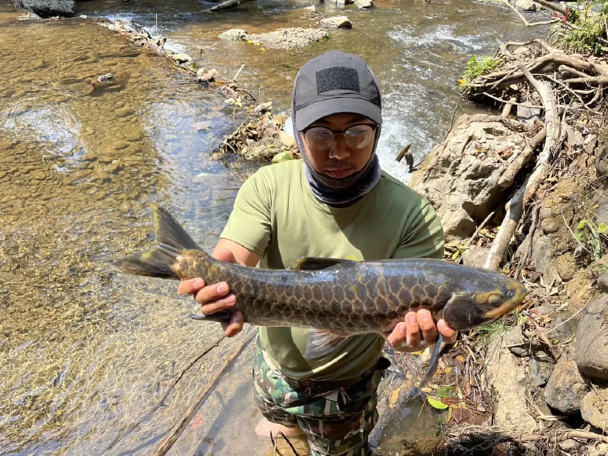 วิกฤตปางมะผ้า! ปลาแม่น้ำลางตายปริศนา สั่งห้ามกินเด็ดขาด