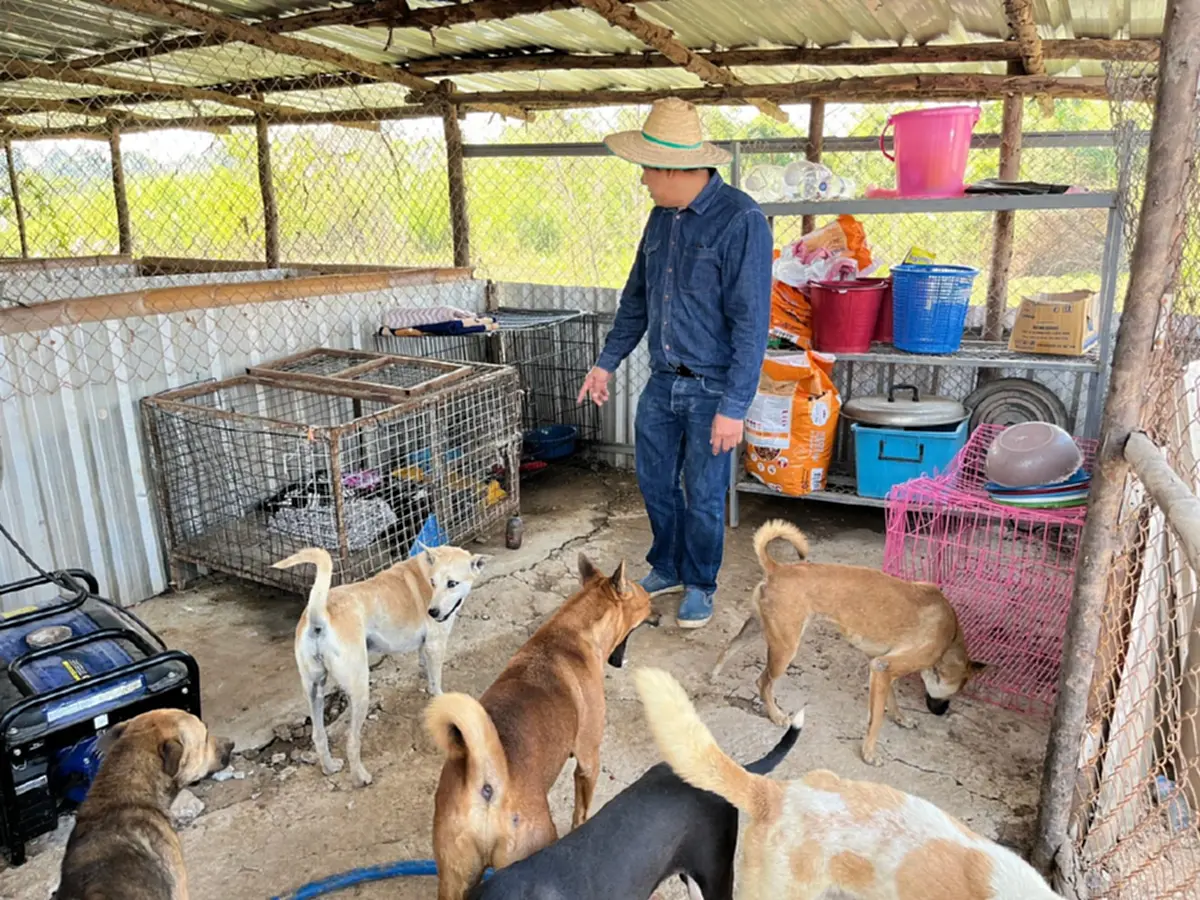 20 ปีทำด้วยใจ นายกปากแควทุ่มเงินส่วนตัวเปิดศูนย์ดูแลหมาจร