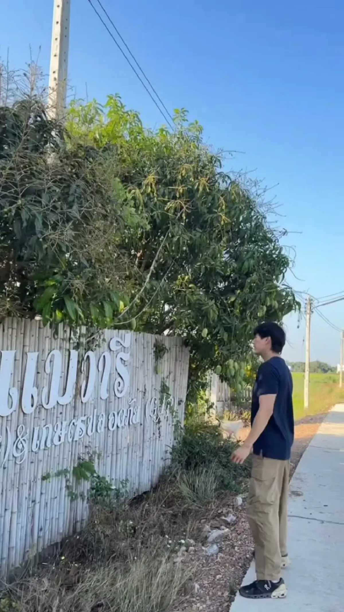  เคน ภูภูมิ เปิดสวนผลไม้ออร์แกนิก ลงมือปลูกเองทุกขั้นตอน