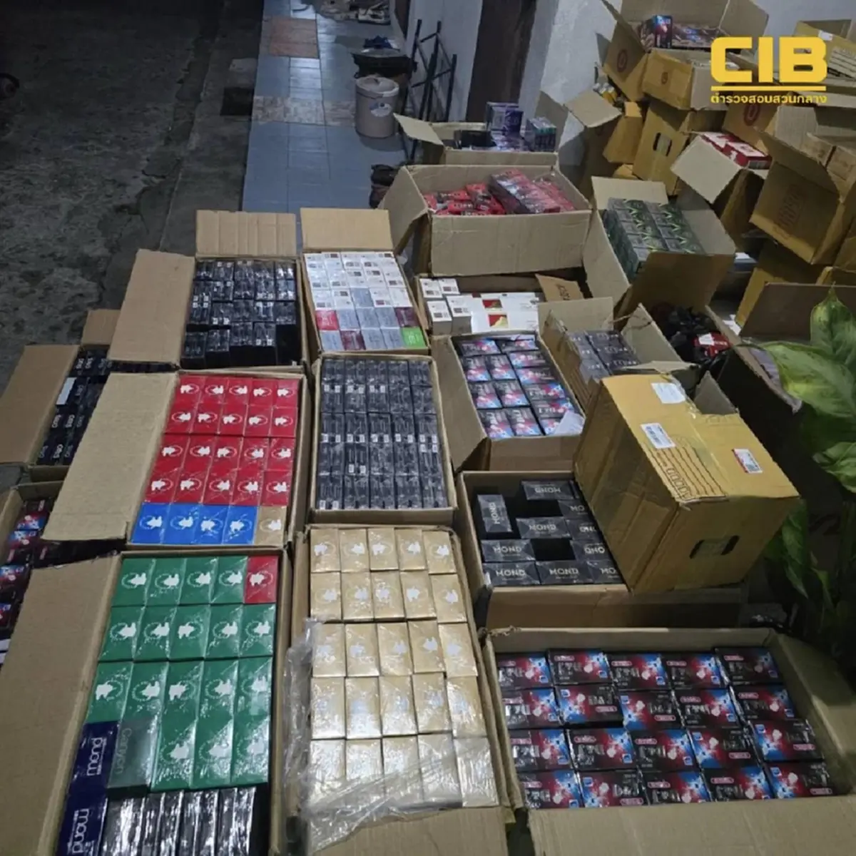 รวบโจ๋ขายบุหรี่เถื่อน ขยายผลเจอคลังหนีภาษี ยึดกว่า 12,000 ซอง