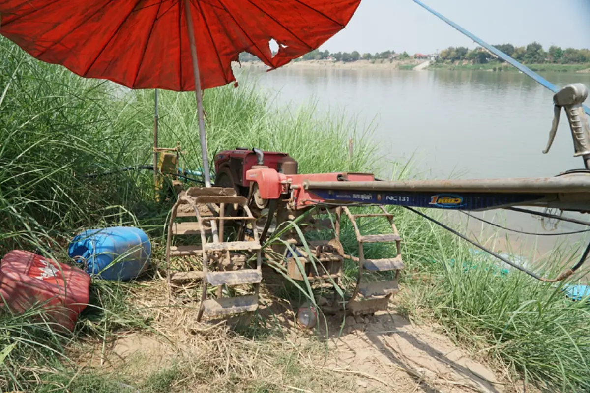 น้ำมันพุ่ง-ปุ๋ยขยับ ชาวสวนมะเขือเทศหนองคายโอด วอนรัฐตรึงราคา