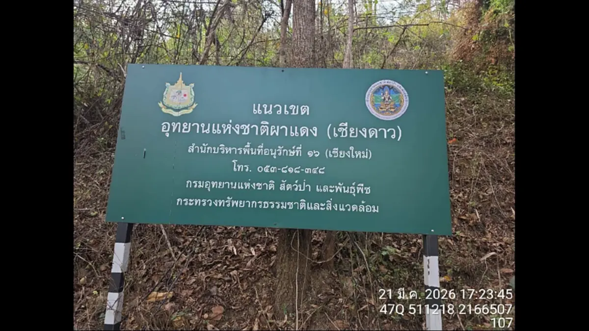 จับมอดไม้เชียงดาว! อ้างชื่อรับเหมาทางหลวงบุกรุกอุทยานฯ