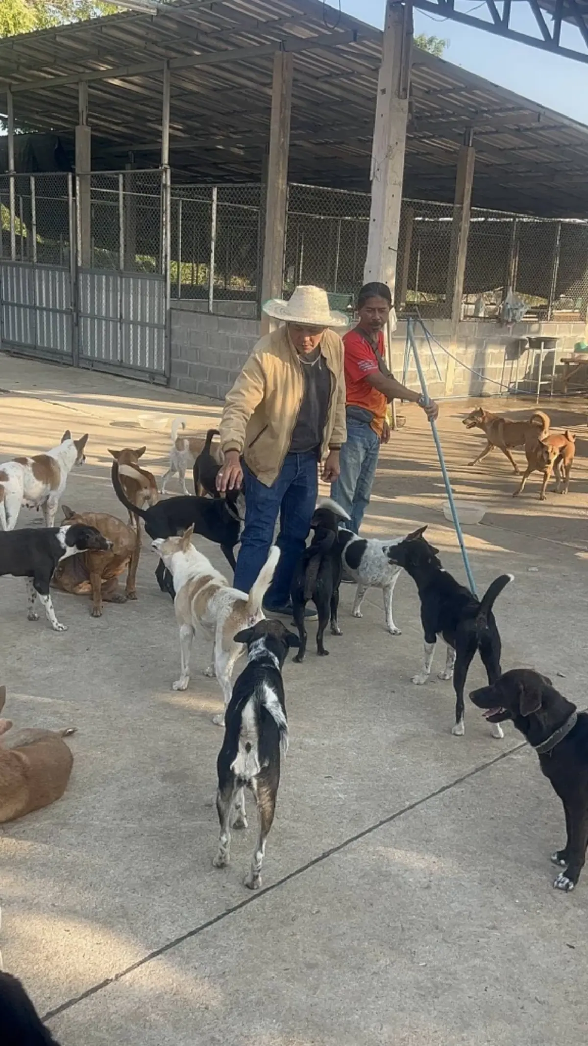 20 ปีทำด้วยใจ นายกปากแควทุ่มเงินส่วนตัวเปิดศูนย์ดูแลหมาจร