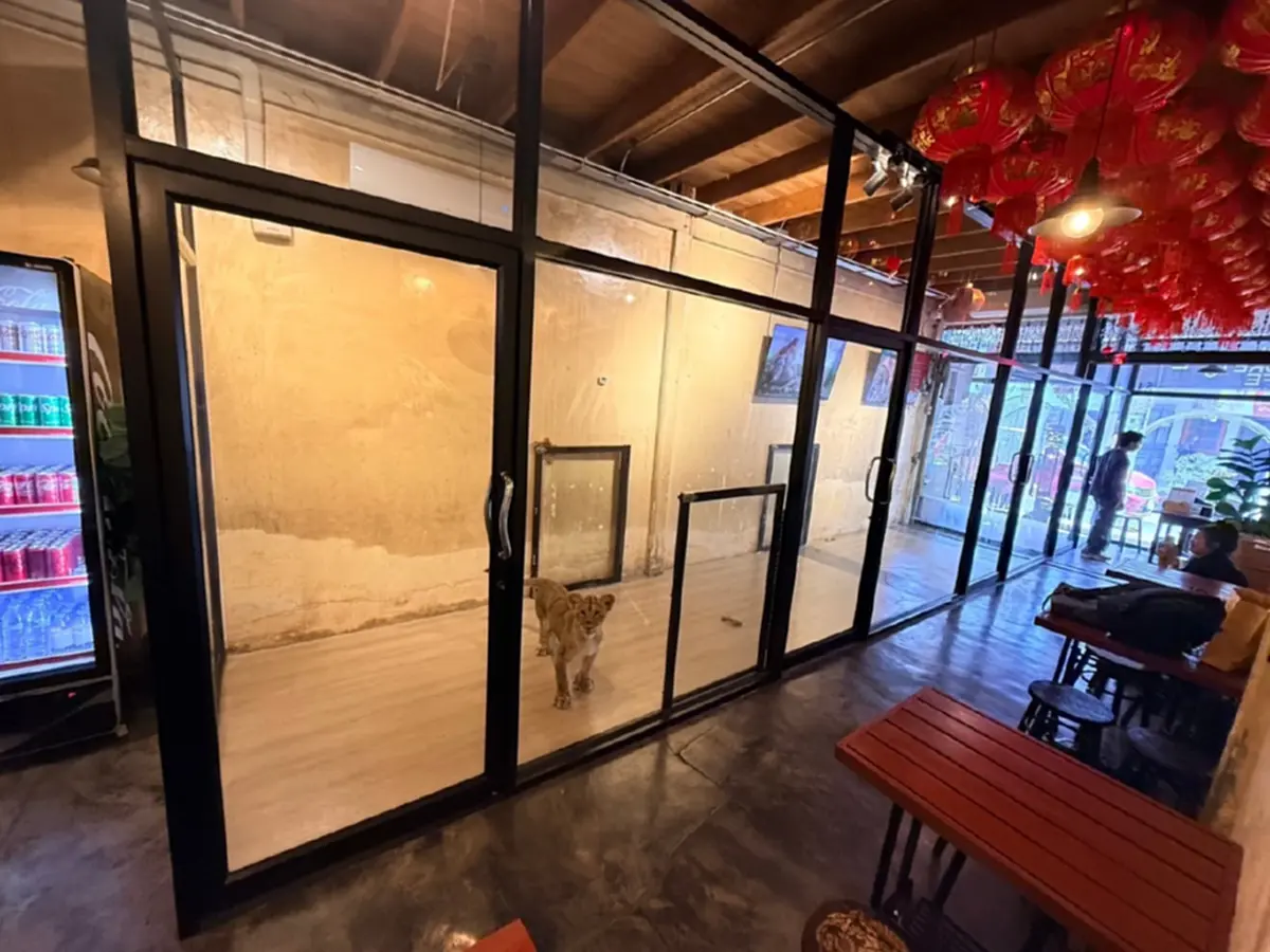 ที่มา : กรมอุทยานแห่งชาติ สัตว์ป่า และพันธุ์พืช