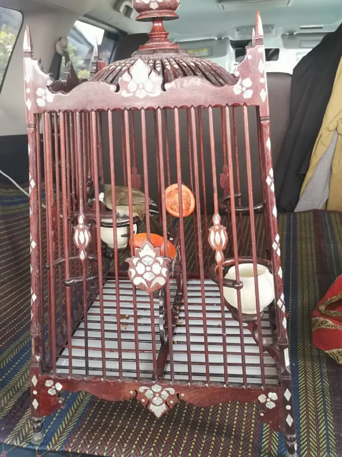 เคลียร์ชัด! ป.ป.ส.ลุยตรวจงานแข่งนกกรงหัวจุก ไม่พบสารเสพติด