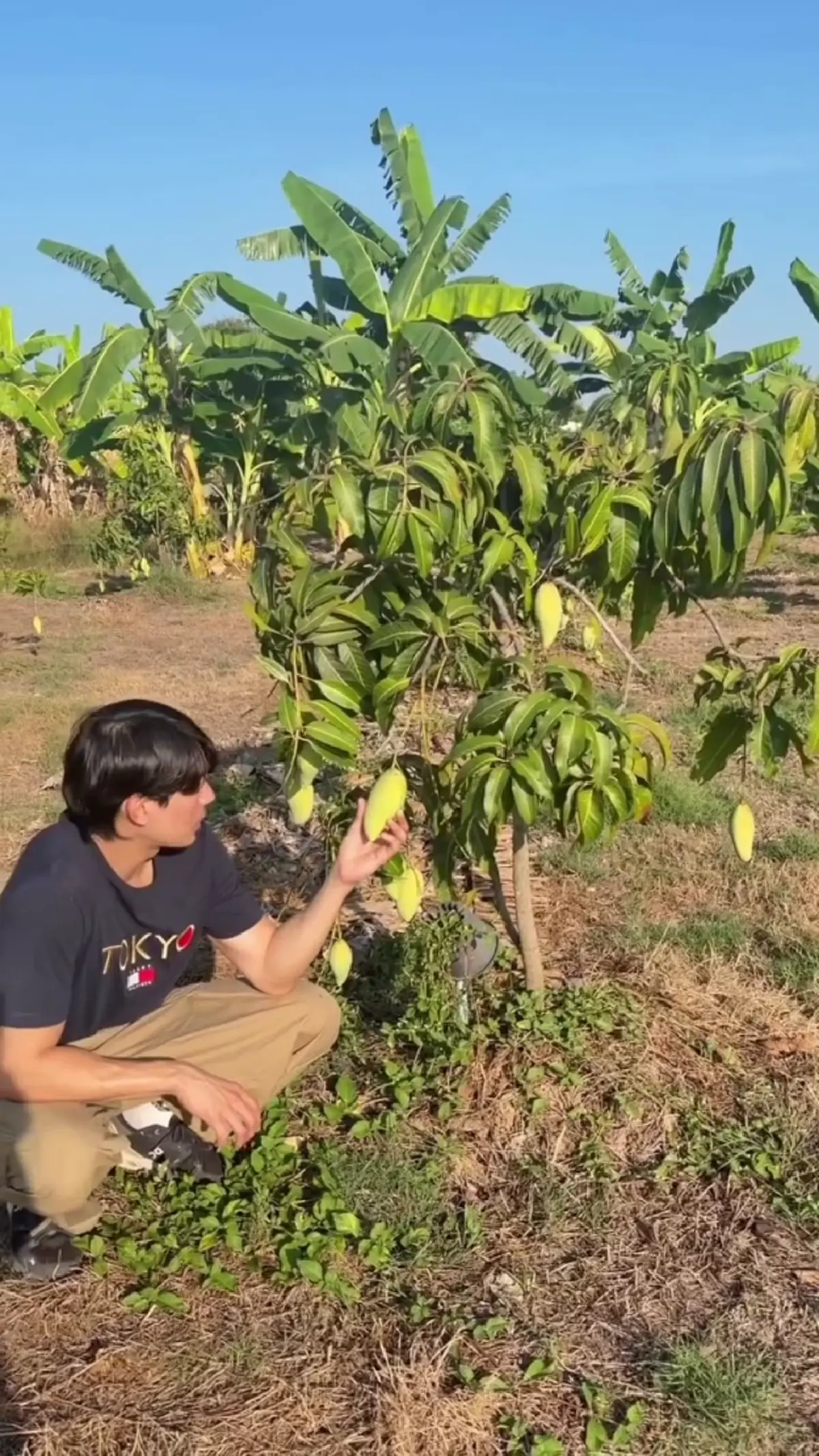  เคน ภูภูมิ เปิดสวนผลไม้ออร์แกนิก ลงมือปลูกเองทุกขั้นตอน
