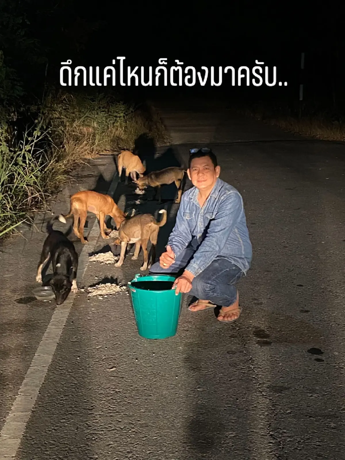 20 ปีทำด้วยใจ นายกปากแควทุ่มเงินส่วนตัวเปิดศูนย์ดูแลหมาจร