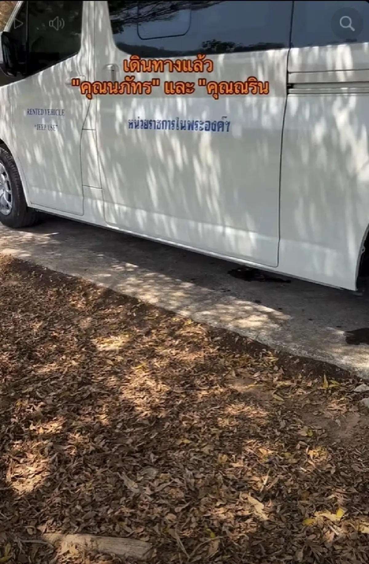 "ในหลวง" ทรงพระเมตตา รับ 2 บีเกิ้ล ถูกทิ้งสุสานร้าง ชุบเลี้ยงในวัง