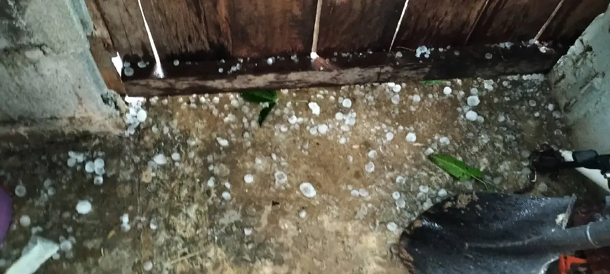 ปภ.บึงกาฬสั่งเข้ม! รับมือพายุ หลังลูกเห็บถล่มบุ่งคล้า