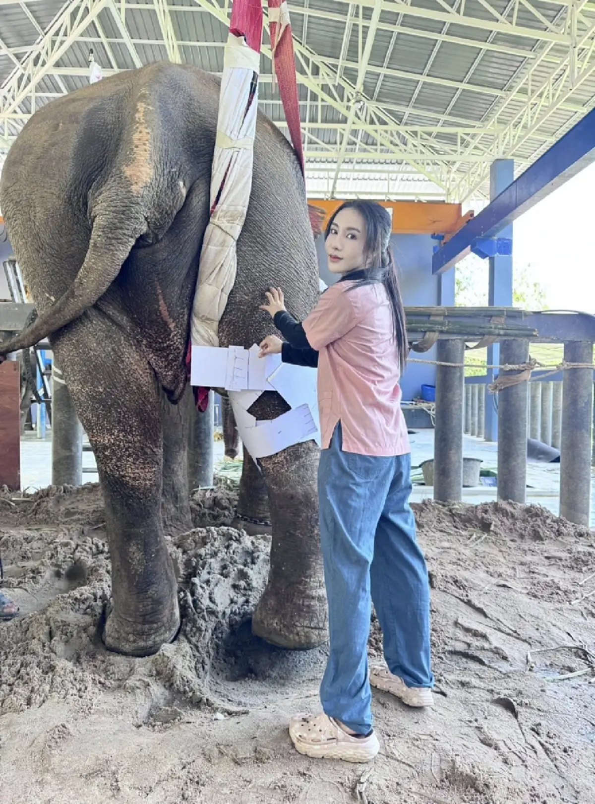 อัปเดต พี่เดียว ช้างขาหัก มีความหวัง ขอทุกกำลังใจช่วยให้สู้ต่อ