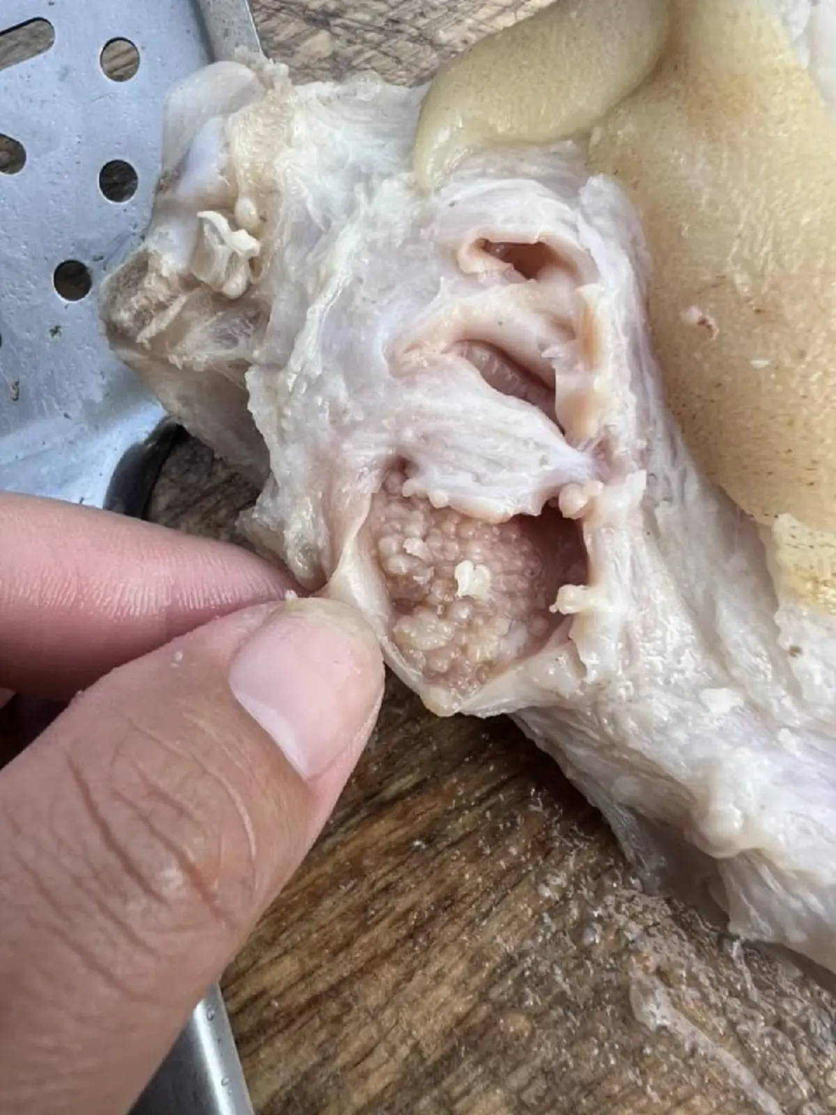 สาวสยอง เจอเม็ดใสๆในขาหมู โพสต์ถามชาวเน็ตแห่เตือนสนั่น