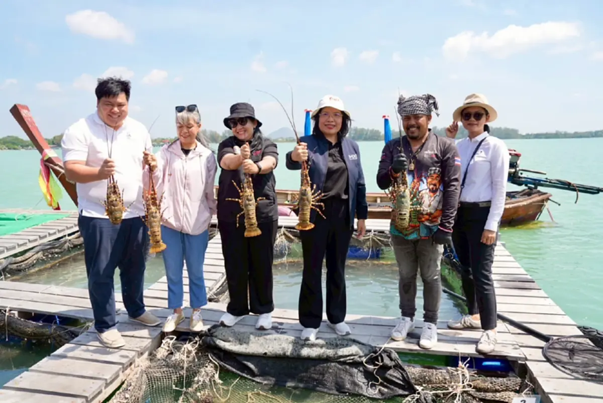 กรมทรัพย์สินทางปัญญา บุกแพ"กุ้งมังกร 7 สีภูเก็ต"ปักหมุดแลนด์มาร์กท่องเที่ยวเชิงอาหาร
