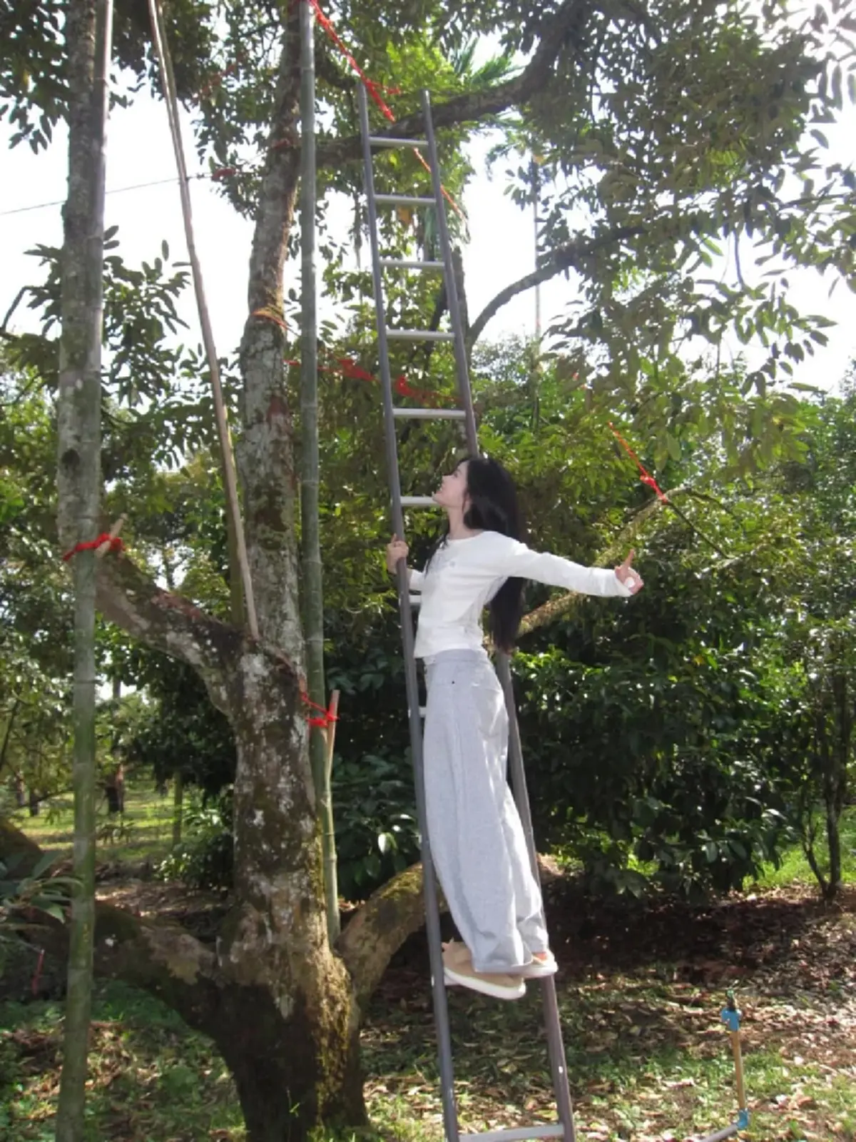 “มาเบล PiXXiE” เช็กอินสวนทุเรียนบ้านเกิด สวยสะกดทุกสายตา