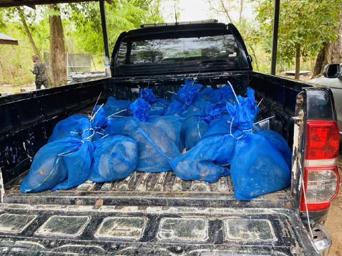 บุกยึดลิงแสม 51 ตัว ริมชายแดนอรัญประเทศ ซุกถุงตาข่ายเตรียมลอบขน