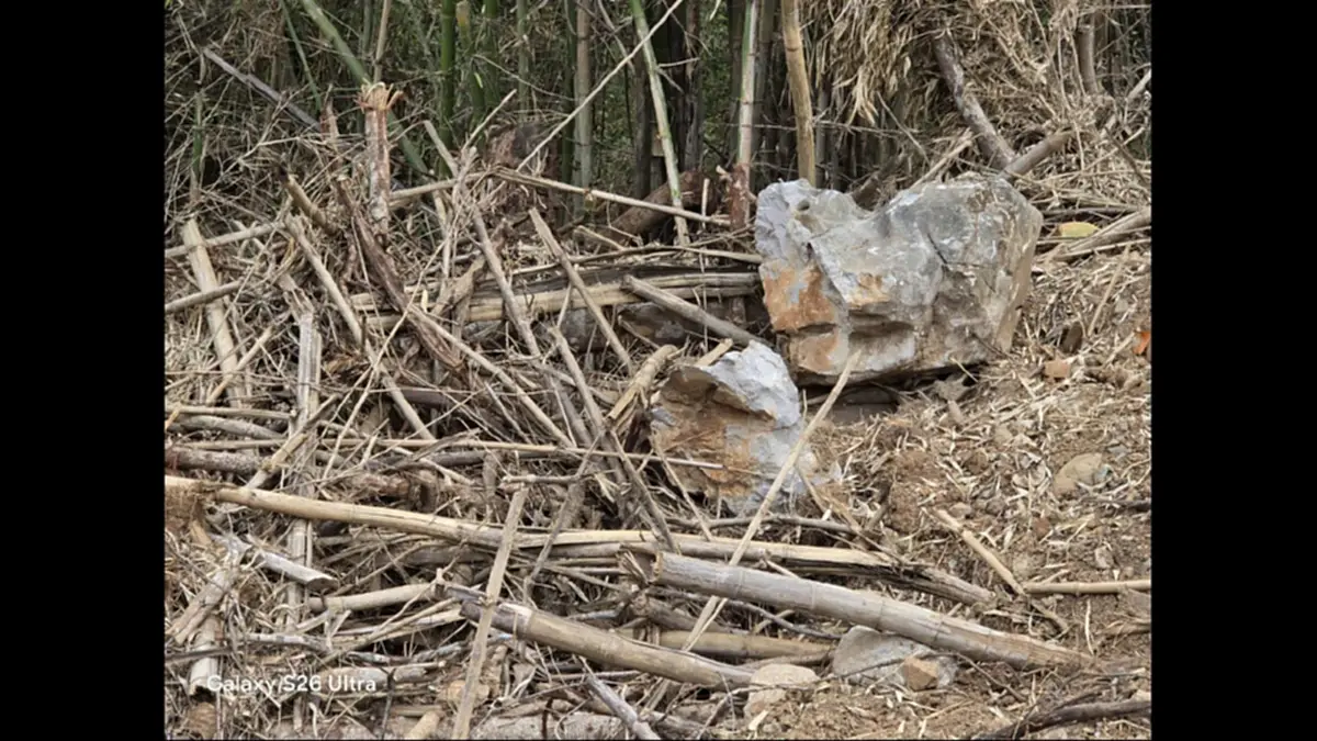 จับมอดไม้เชียงดาว! อ้างชื่อรับเหมาทางหลวงบุกรุกอุทยานฯ