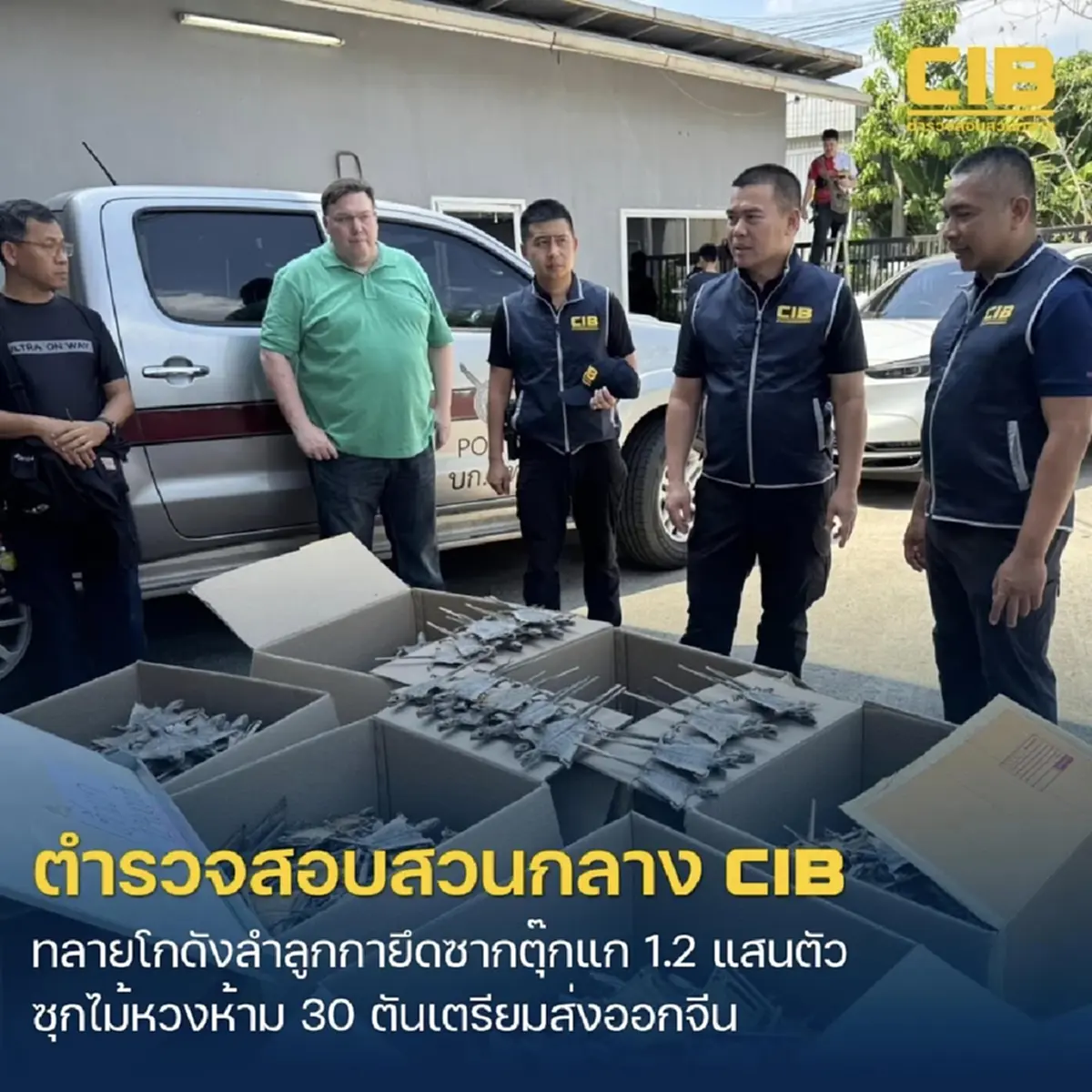 ทลายโกดังลับย่านลำลูกกา ยึดซากตุ๊กแกกว่า 1.2 แสนตัว เตรียมส่งออกจีน