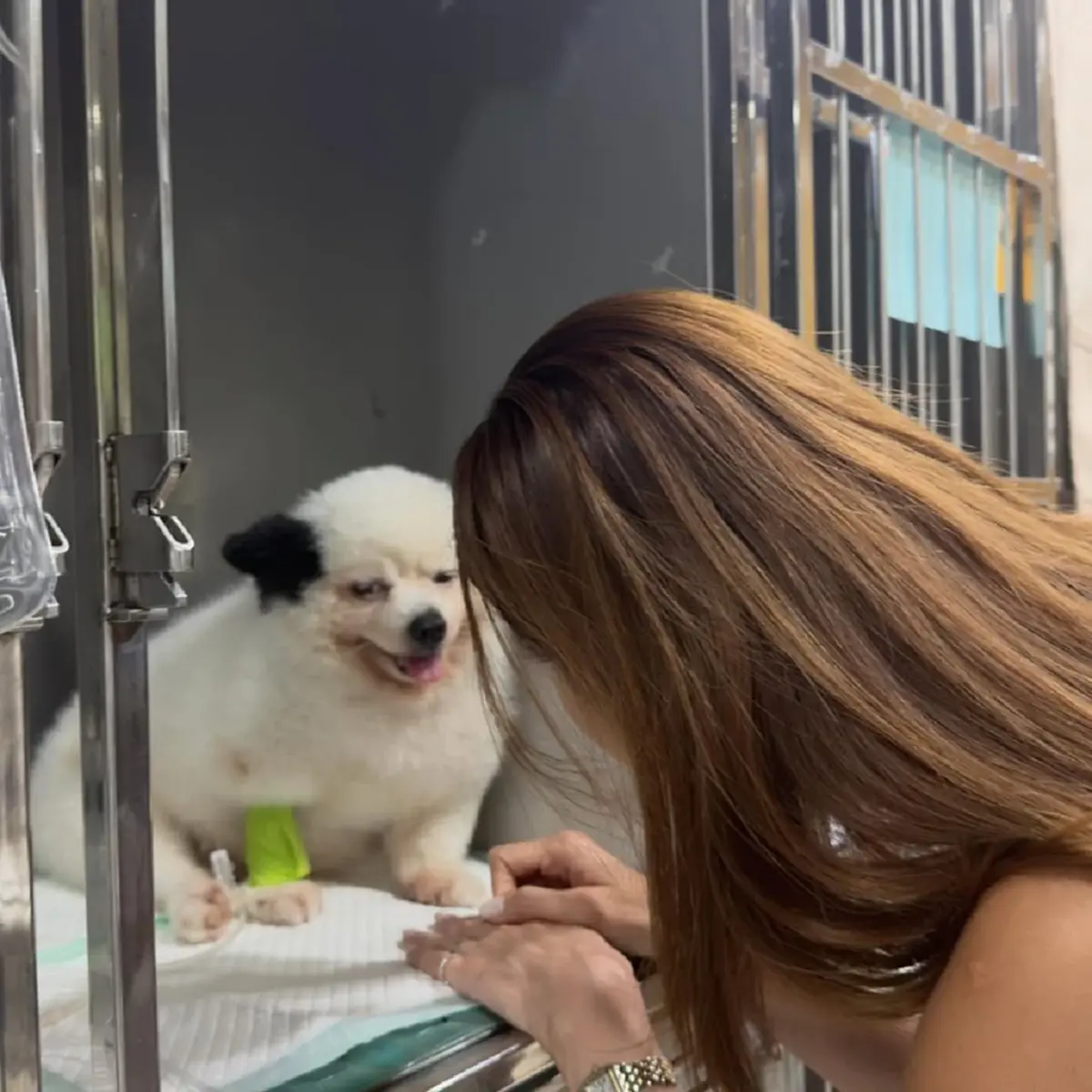 “หญิง รฐา” สูญเสีย “น้องร่ำรวย” เพื่อนรัก 11 ปี หลังป่วยหนัก